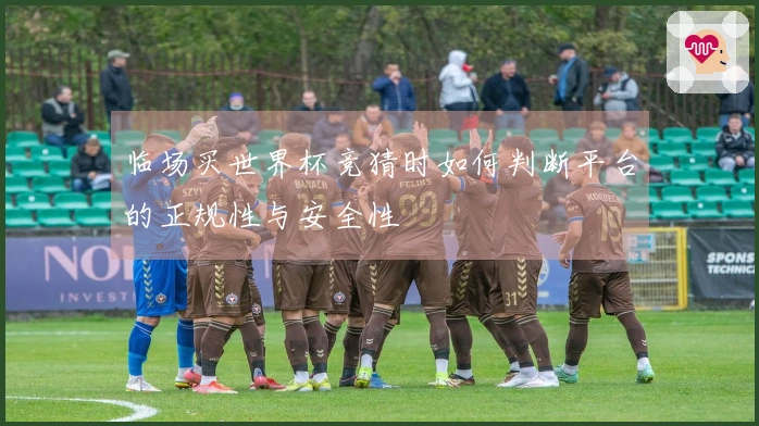 临场买世界杯竞猜时如何判断平台的正规性与安全性