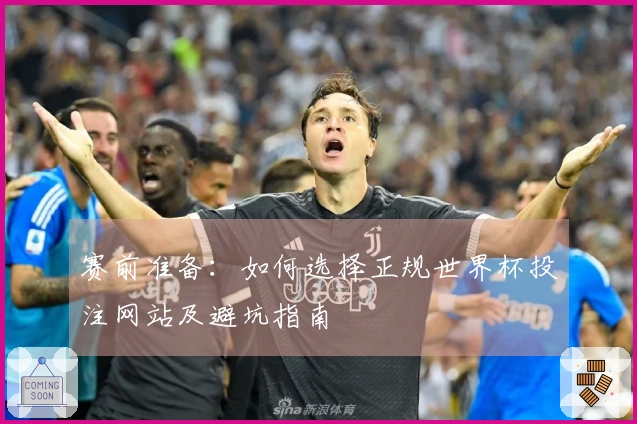 赛前准备：如何选择正规世界杯投注网站及避坑指南